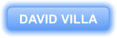 DAVID VILLA